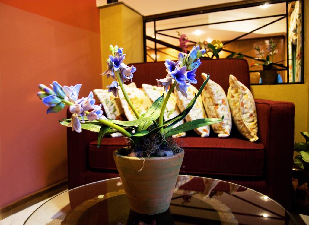 Hotel Bristol アスンシオン エクステリア 写真